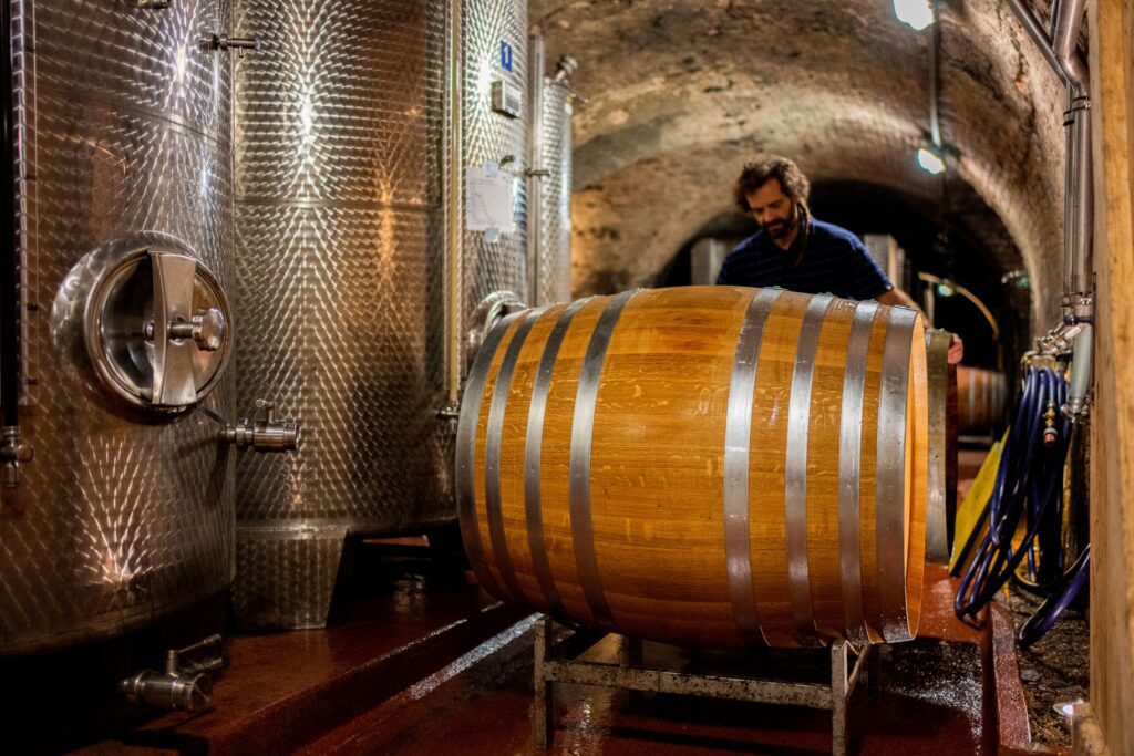 Harvest work in the centuries old cellar at the Hofkellerei Liechtenstein